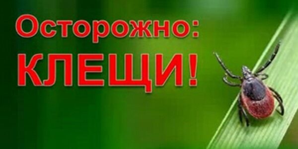 Внимание. Клещи!